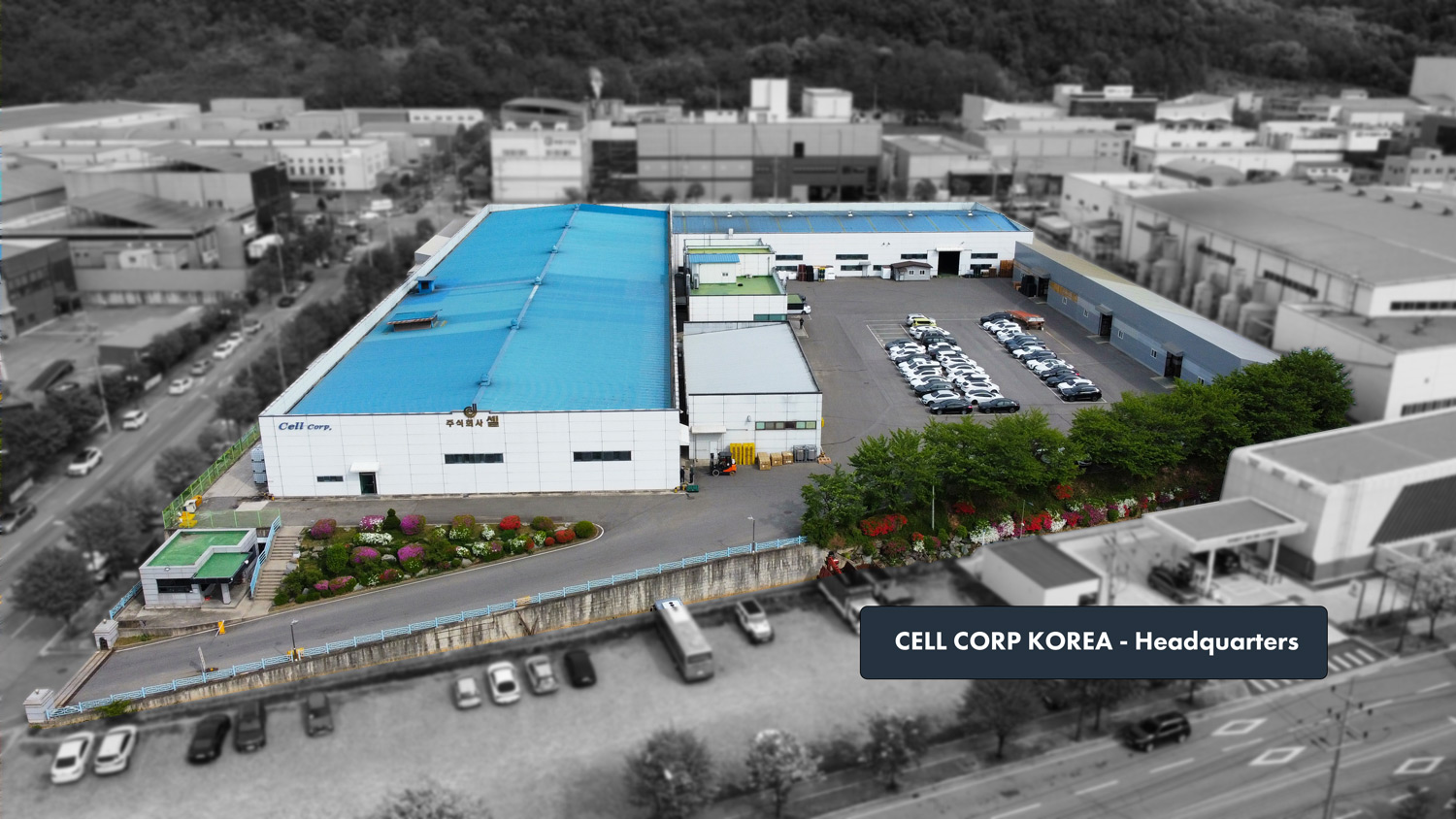 CELL Corp. Korea Bird's Eye View