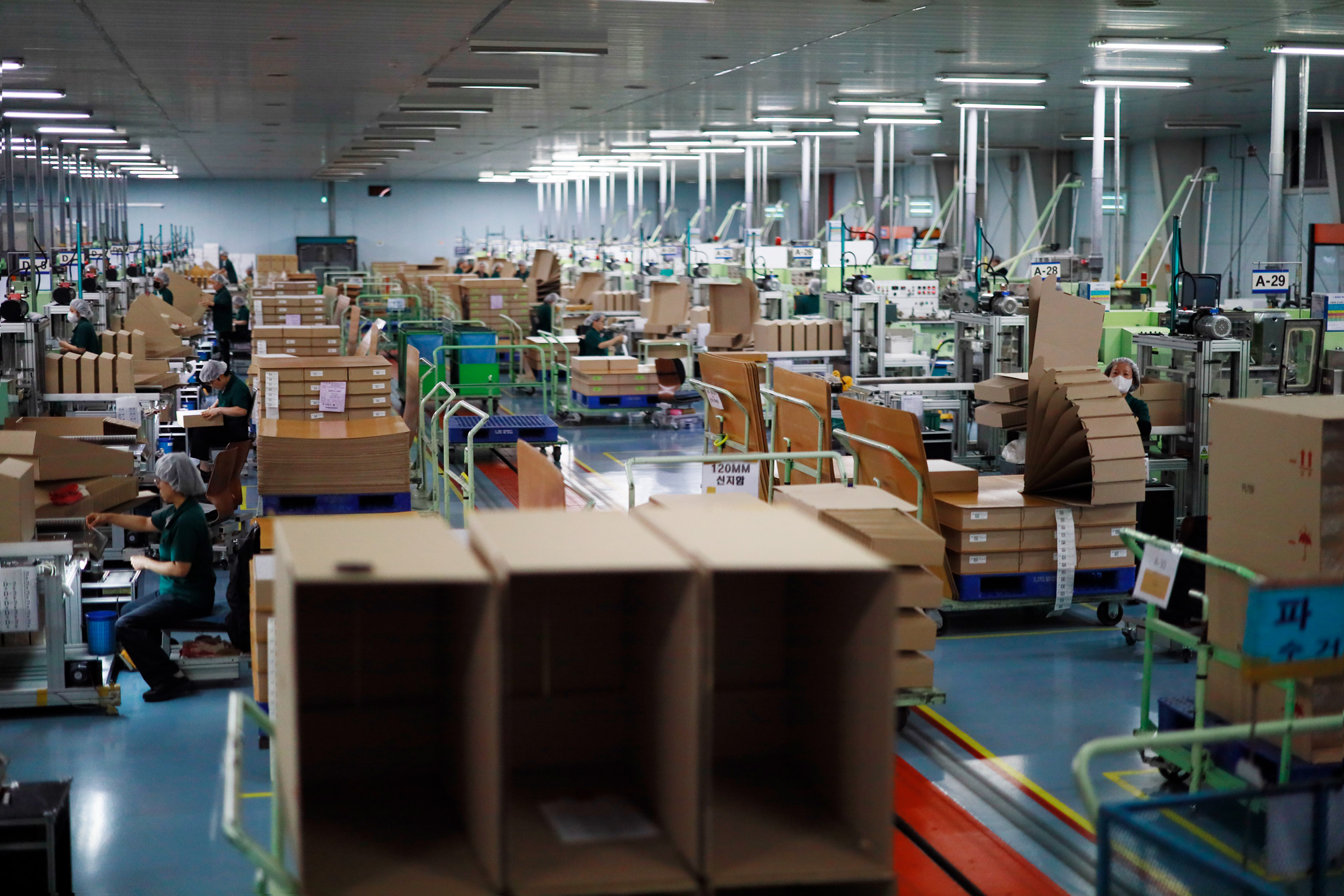 CELL Corp. Korea Production Line